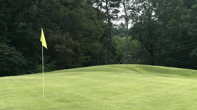 green at Heather Hills Golf Course